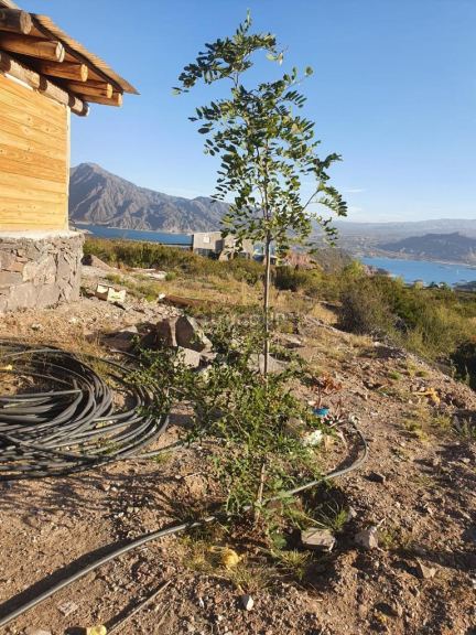 Lote en Venta en Lujan de Cuyo, Mendoza