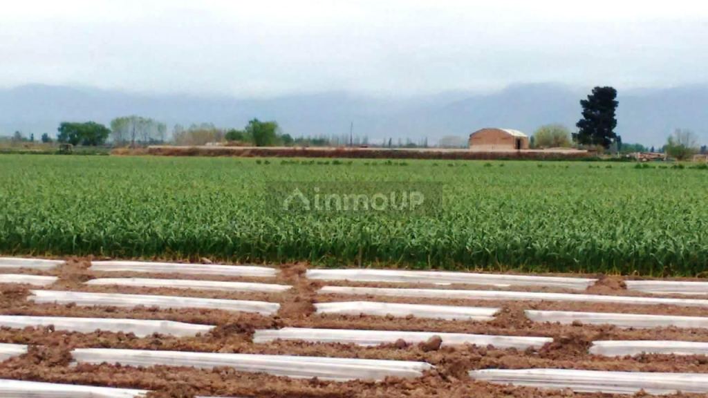 Finca en Venta en Maipu, Mendoza