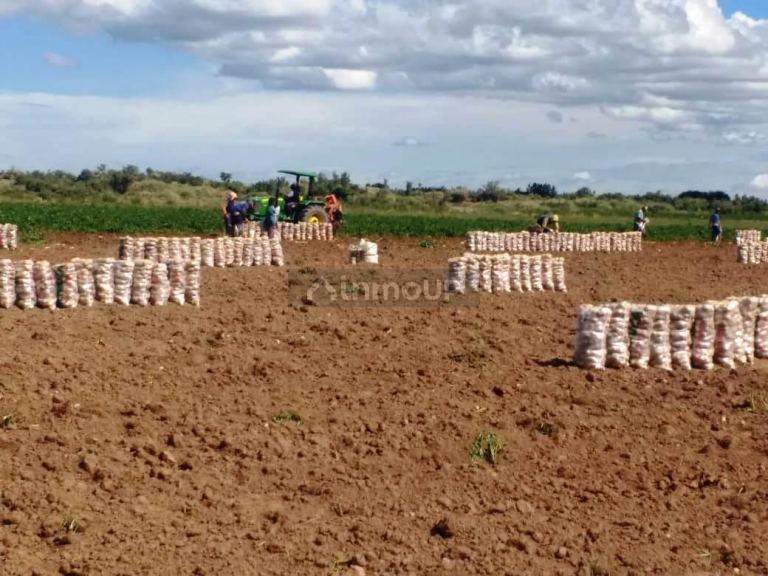 Finca en Venta en Maipu, Mendoza