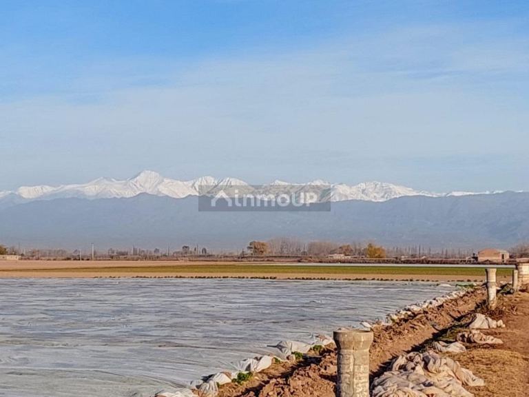 Finca en Venta en Maipu, Mendoza