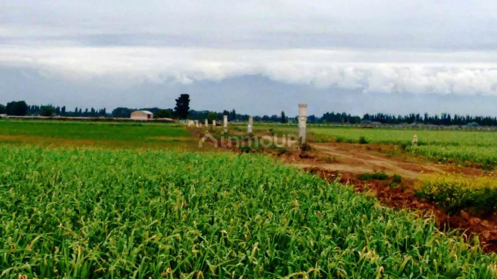 Finca en Venta en Maipu, Mendoza
