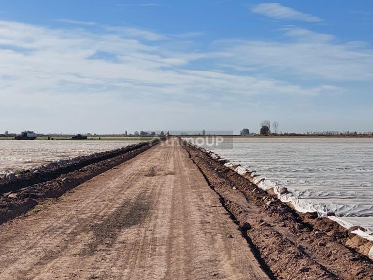 Finca en Venta en Maipu, Mendoza