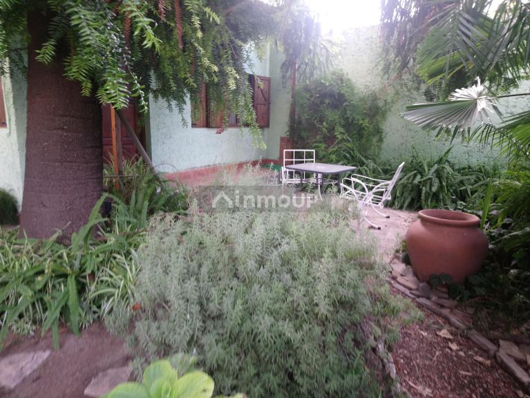 Loft en Alquiler Temporario en Capital, Mendoza