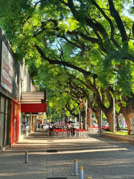 Departamento en Alquiler en Capital, Mendoza