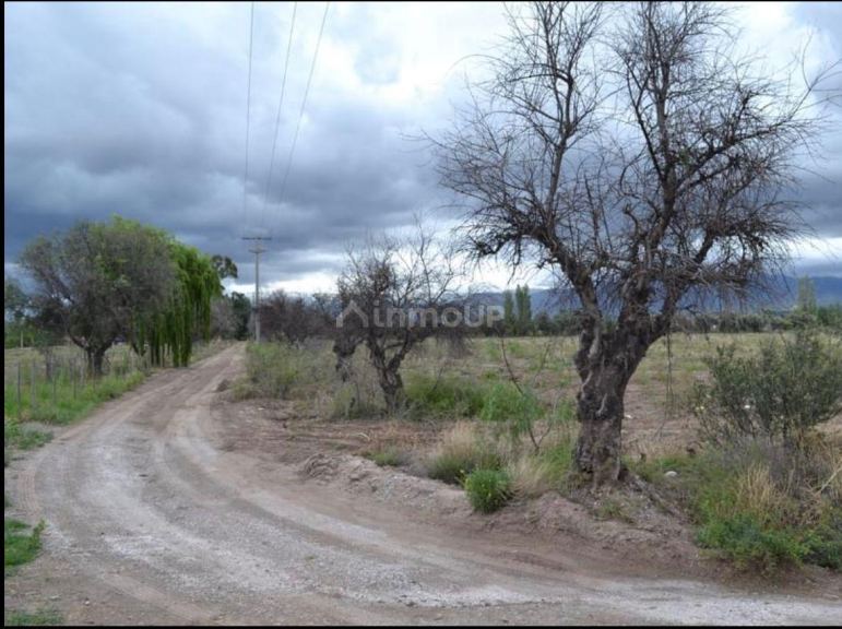 Lote en Venta en Lujan de Cuyo, Mendoza