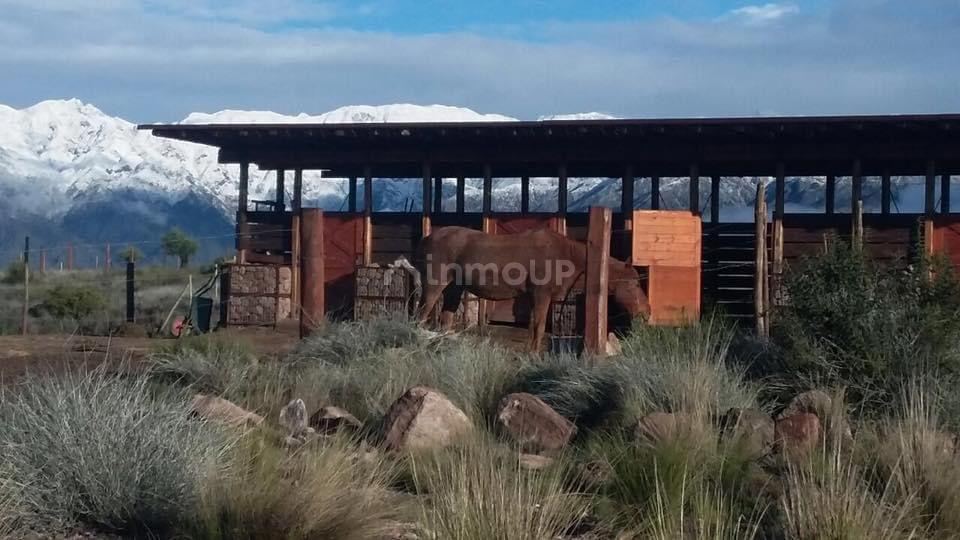 Lote en Venta en Lujan de Cuyo, Mendoza