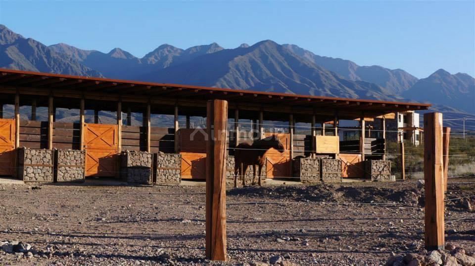 Lote en Venta en Lujan de Cuyo, Mendoza