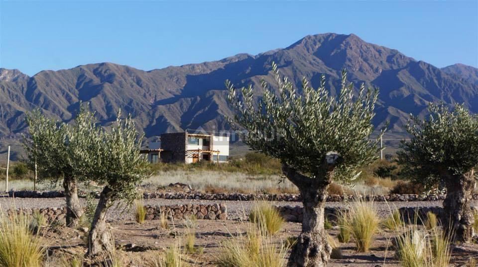Lote en Venta en Lujan de Cuyo, Mendoza