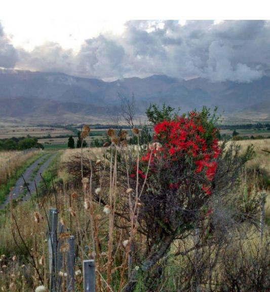 Lote en Venta en Tupungato, Mendoza