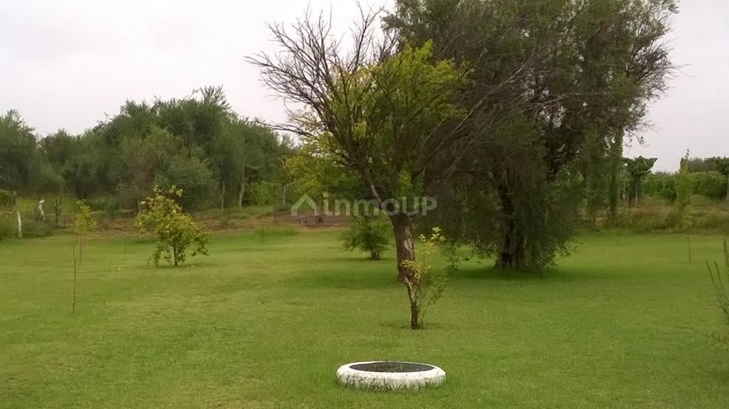 Quinta en Venta en Maipu, Mendoza