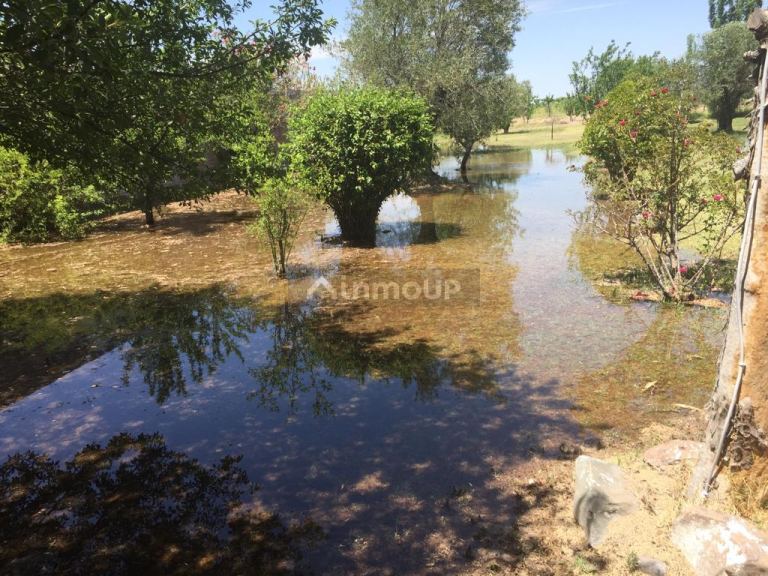 Quinta en Venta en Maipu, Mendoza