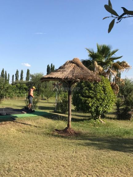 Quinta en Venta en Maipu, Mendoza