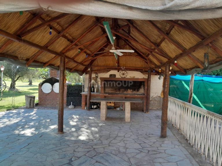 Quinta en Venta en Maipu, Mendoza