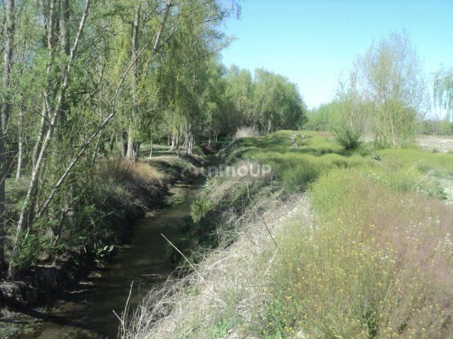 Lote en Venta en Tunuyan, Mendoza