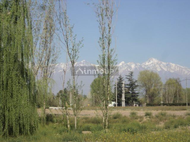 Lote en Venta en Tunuyan, Mendoza