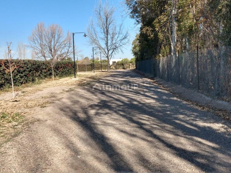 Lote en Venta en Lujan de Cuyo, Mendoza