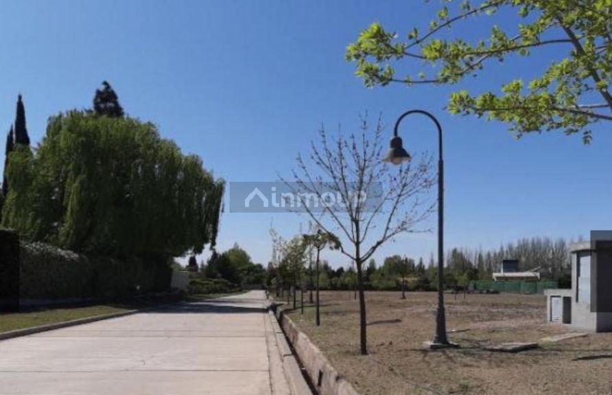 Lote en Venta en Lujan de Cuyo, Mendoza