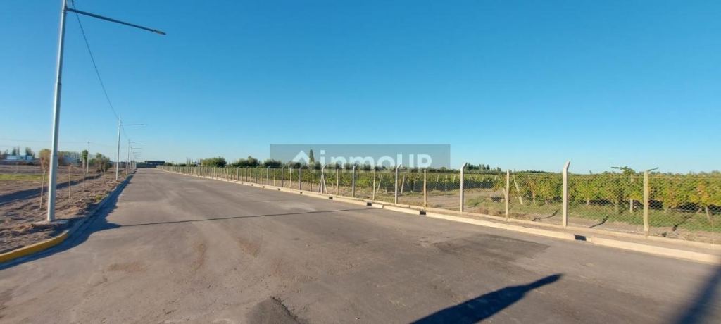 Lote en Venta en Lujan de Cuyo, Mendoza