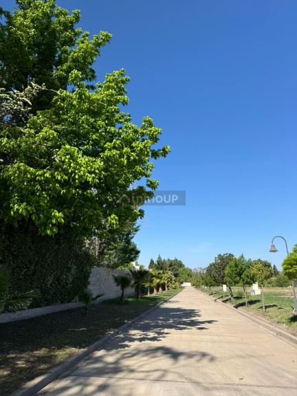 Lote en Venta en Lujan de Cuyo, Mendoza