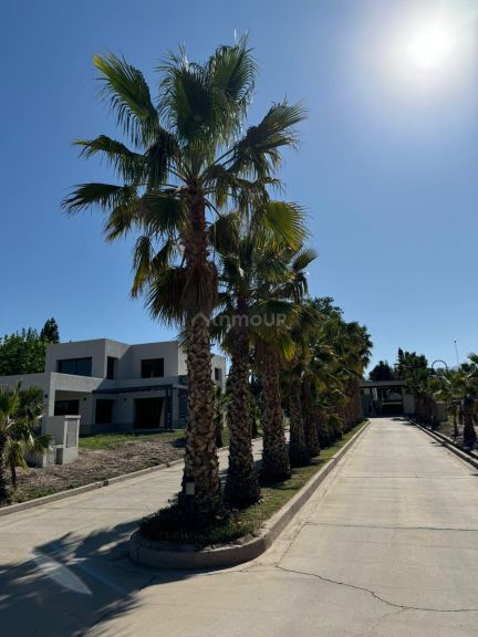 Lote en Venta en Lujan de Cuyo, Mendoza