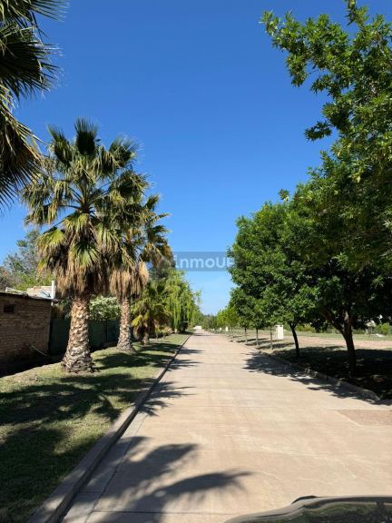 Lote en Venta en Lujan de Cuyo, Mendoza