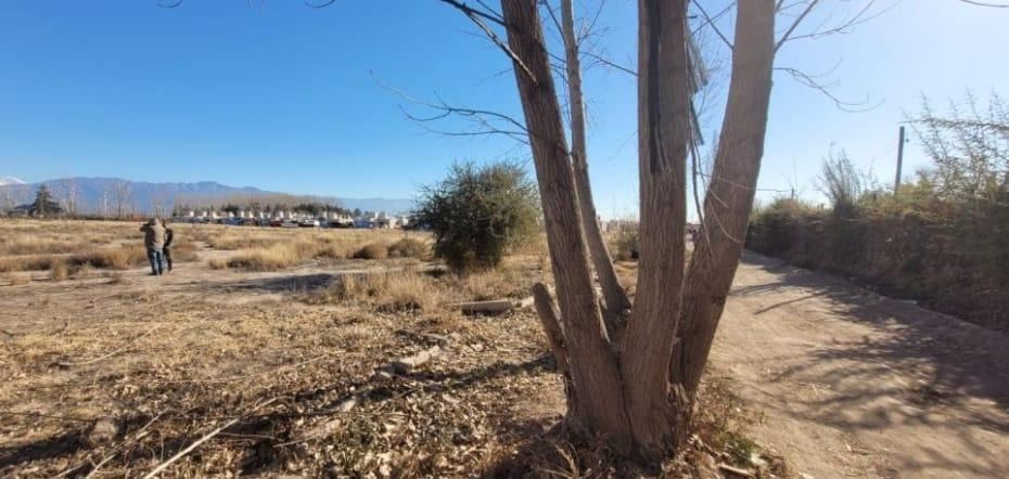 Lote en Venta en Lujan de Cuyo, Mendoza