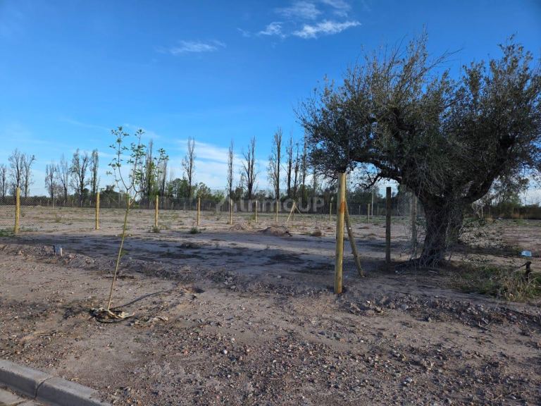 Lote en Venta en Maipu, Mendoza