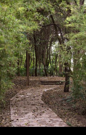 Lote en Venta en Maipu, Mendoza