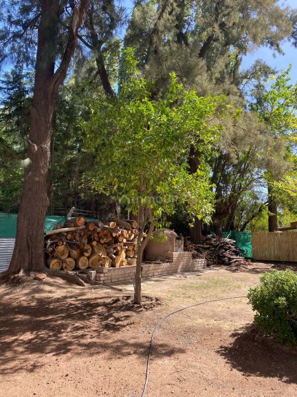 Casa en Alquiler en Maipu, Mendoza
