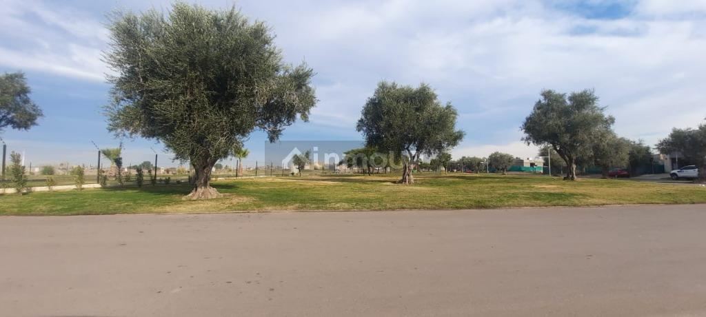 Lote en Venta en Maipu, Mendoza