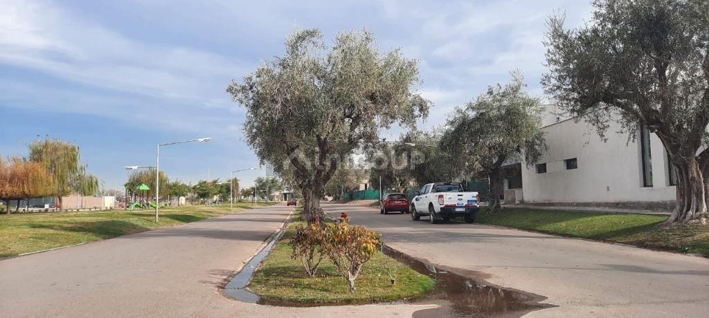 Lote en Venta en Maipu, Mendoza