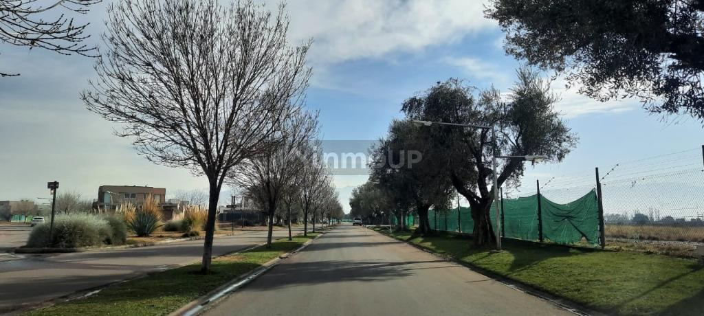 Lote en Venta en Maipu, Mendoza