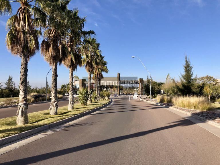 Lote en Venta en Lujan de Cuyo, Mendoza