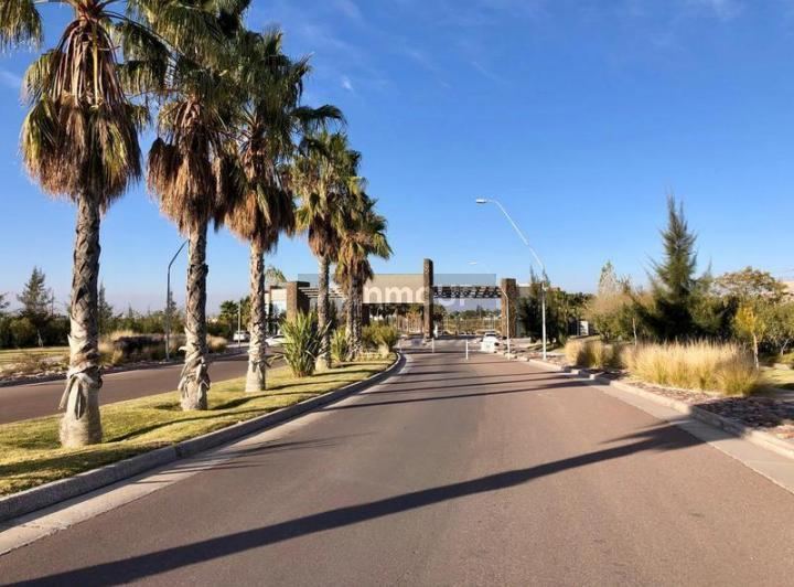 Lote en Venta en Lujan de Cuyo, Mendoza