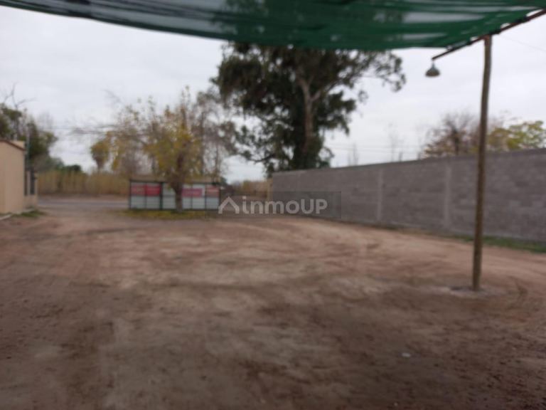 Galpon en Alquiler en San Martin, Mendoza