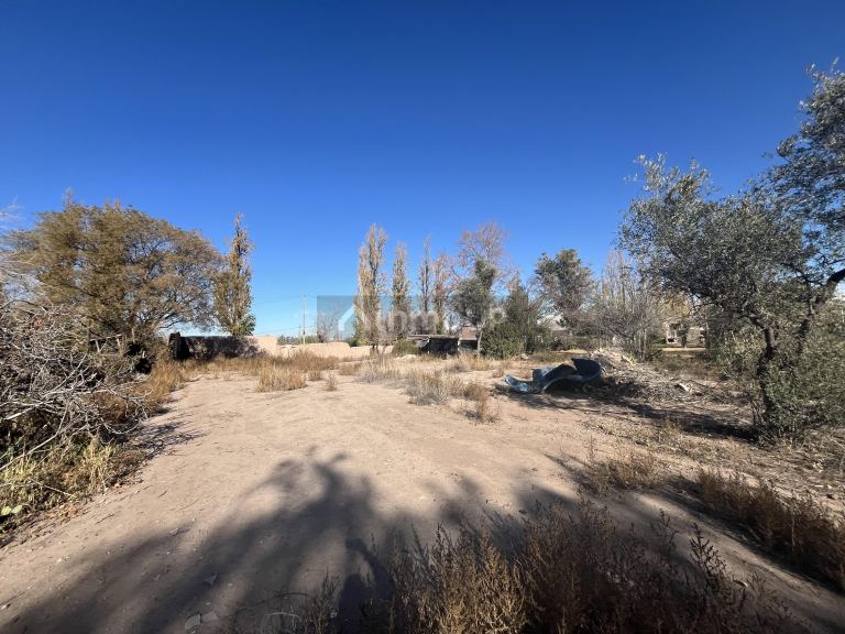 Lote en Venta en Lujan de Cuyo, Mendoza