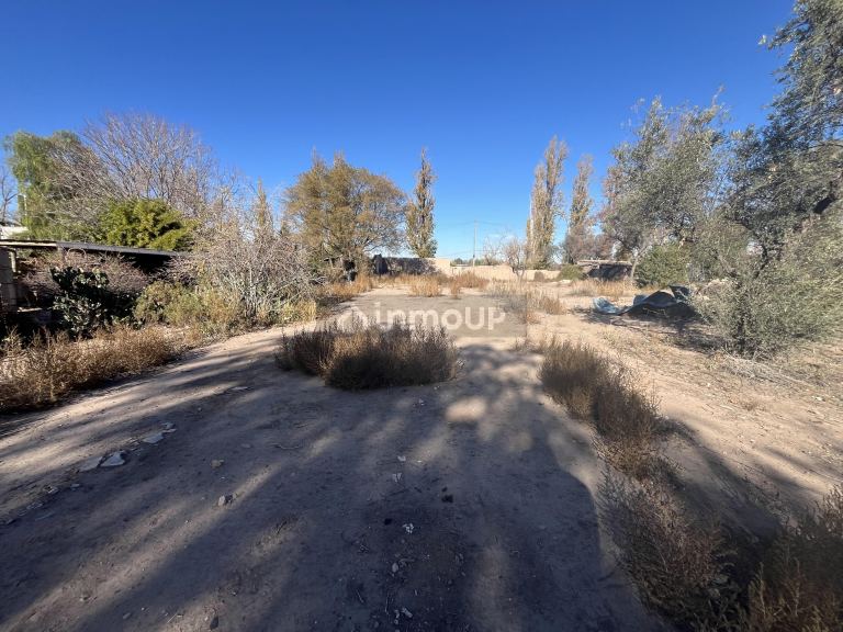 Lote en Venta en Lujan de Cuyo, Mendoza