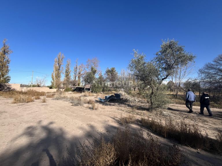 Lote en Venta en Lujan de Cuyo, Mendoza
