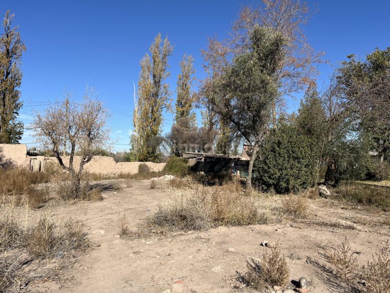 Lote en Venta en Lujan de Cuyo, Mendoza