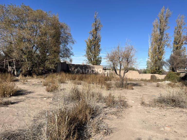 Lote en Venta en Lujan de Cuyo, Mendoza
