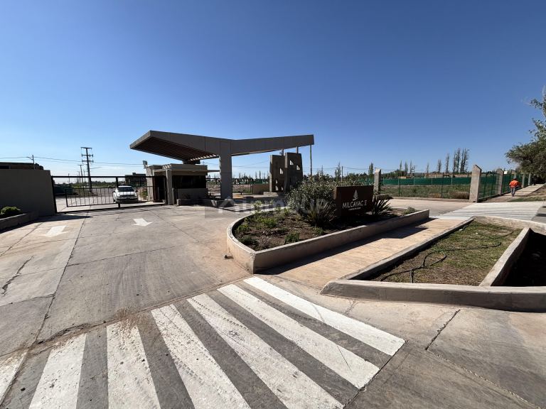 Lote en Venta en Lujan de Cuyo, Mendoza