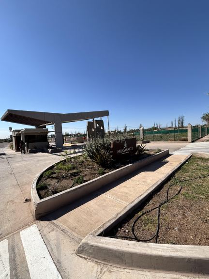 Lote en Venta en Lujan de Cuyo, Mendoza