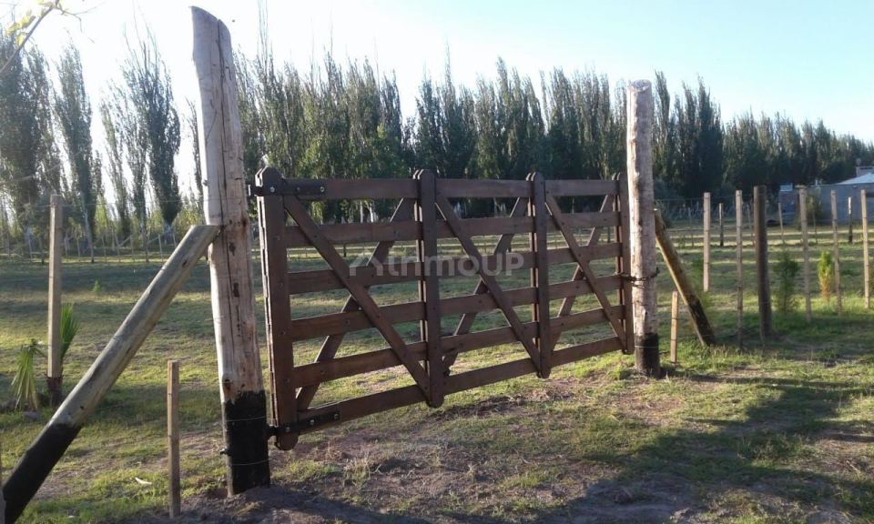 Lote en Venta en San Carlos, Mendoza