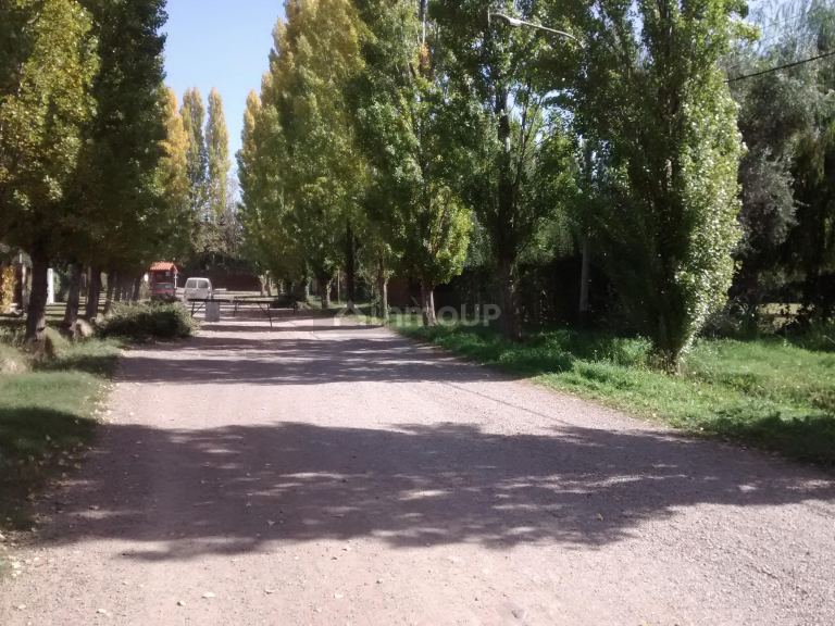 Lote en Venta en Lujan de Cuyo, Mendoza