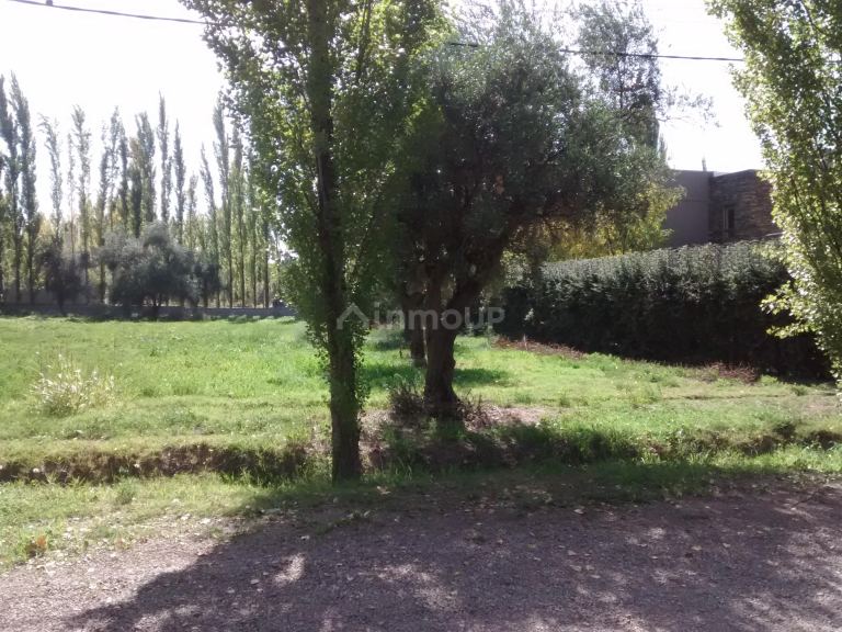 Lote en Venta en Lujan de Cuyo, Mendoza
