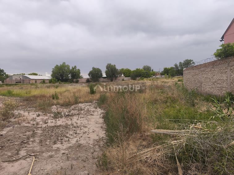 Lote en Venta en Lujan de Cuyo, Mendoza