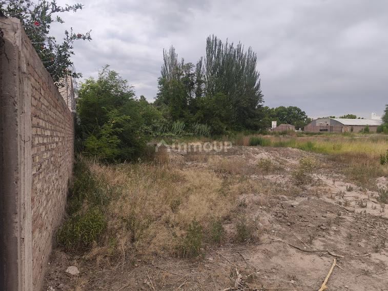 Lote en Venta en Lujan de Cuyo, Mendoza