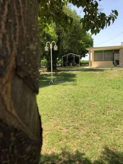Finca en Venta en Santa Rosa, Mendoza