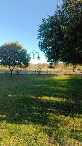 Finca en Venta en Santa Rosa, Mendoza