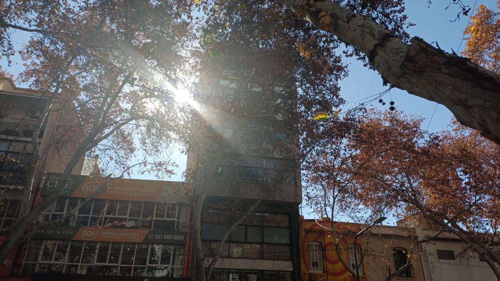 Local Comercial en Alquiler en Capital, Mendoza
